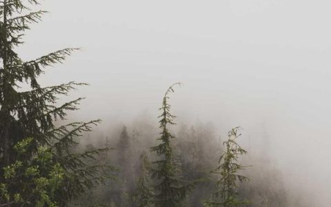 使用淘宝领优惠券必备的六个入口，网优惠券怎么快速领全