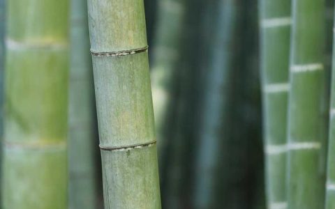 淘宝专题页到底有啥用，新手怎么靠专题页带货
淘宝专题页,内容运营,带货技巧